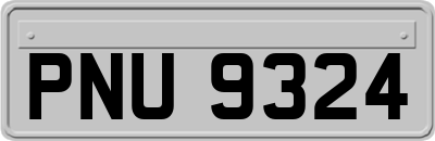 PNU9324