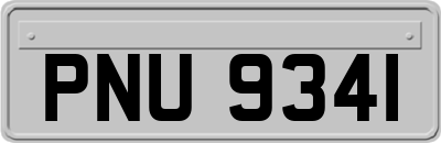 PNU9341