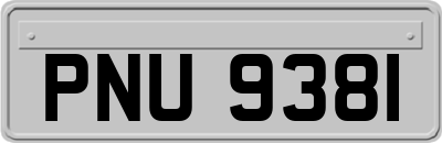 PNU9381