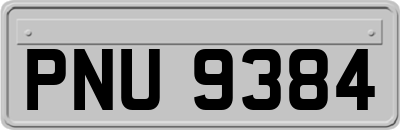 PNU9384