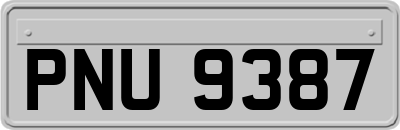 PNU9387