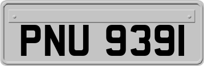 PNU9391