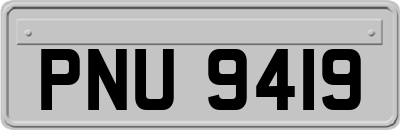 PNU9419