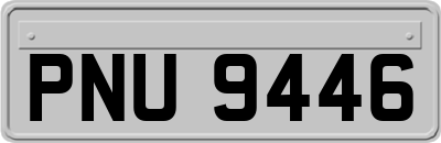 PNU9446
