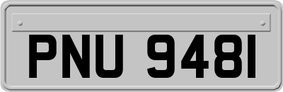 PNU9481