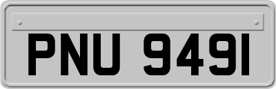 PNU9491