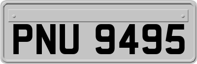 PNU9495