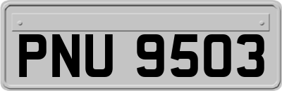 PNU9503