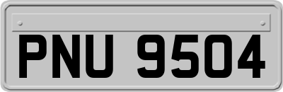 PNU9504