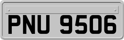 PNU9506