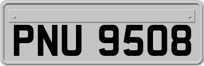 PNU9508