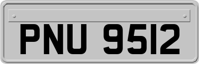 PNU9512