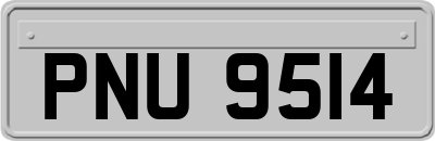 PNU9514