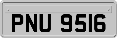 PNU9516