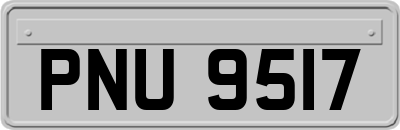 PNU9517