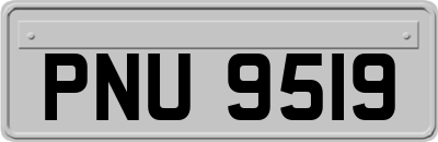PNU9519