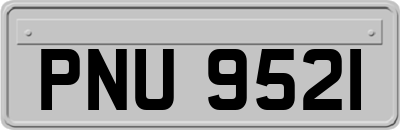 PNU9521