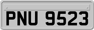 PNU9523