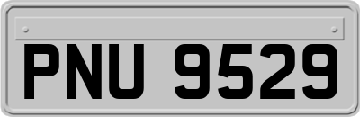 PNU9529