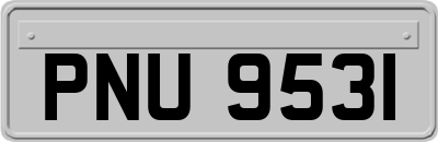 PNU9531