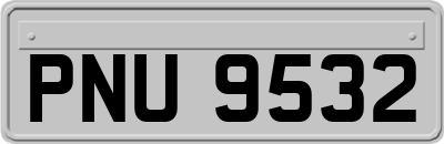 PNU9532