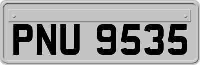 PNU9535