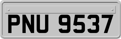 PNU9537