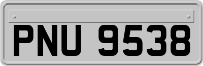 PNU9538