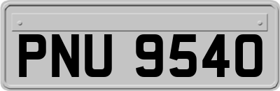 PNU9540