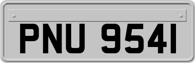 PNU9541