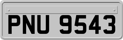 PNU9543