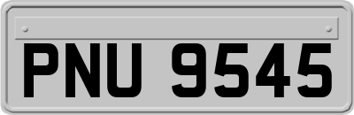 PNU9545