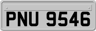 PNU9546