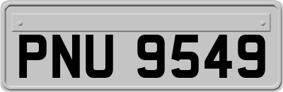 PNU9549