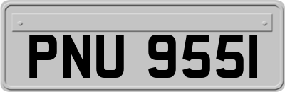 PNU9551