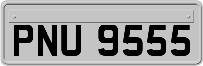 PNU9555