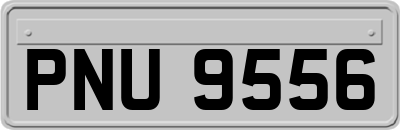 PNU9556