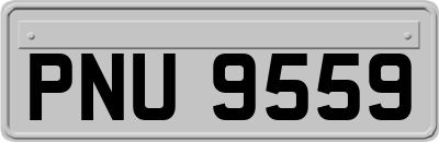 PNU9559