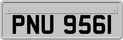 PNU9561