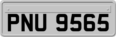 PNU9565