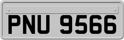 PNU9566