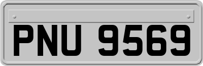 PNU9569
