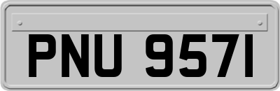 PNU9571