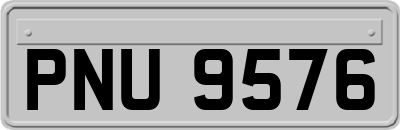 PNU9576