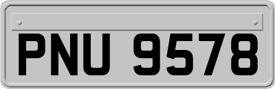 PNU9578
