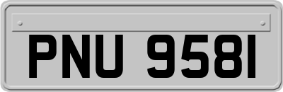 PNU9581