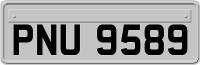 PNU9589