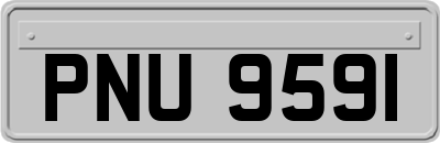 PNU9591