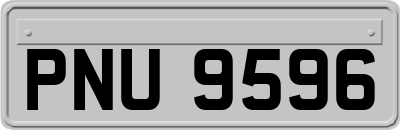 PNU9596