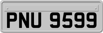 PNU9599